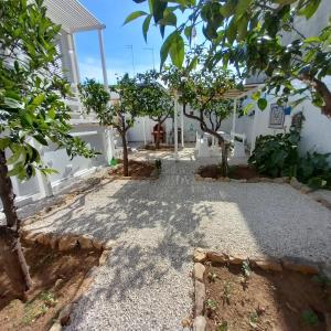 Zahrada ubytování Casa Virgilio
