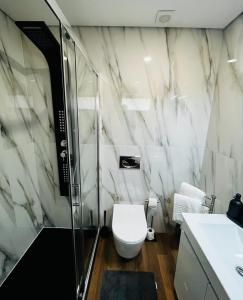 uma casa de banho com um WC e uma cabina de duche em vidro. em Encosta do Gerês Village em Braga