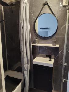 uma casa de banho com um lavatório, um espelho e um chuveiro em Find yourself apartment Dunkerque em Coudekerque-Branche