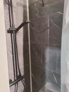 um chuveiro com uma porta de vidro na casa de banho em Find yourself apartment Dunkerque em Coudekerque-Branche