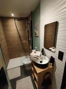 uma casa de banho com um WC, um lavatório e um espelho. em Somptueux * * proche du lac avec parking privé em Viviers-du-Lac