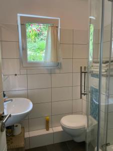 een badkamer met een toilet, een wastafel en een raam bij Am Berggarten in Heidelberg