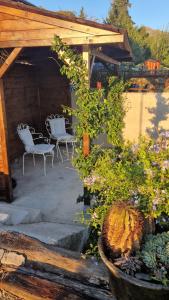 a patio with two chairs and a table and a bush at Cla&Cha Studio in Bonassola