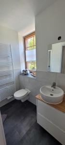een badkamer met een wastafel, een toilet en een spiegel bij Ferienwohnung Frauenmarkt in Schneeberg