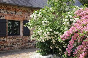 une brousse de fleurs devant un bâtiment en briques dans l'établissement Grange du Tôt, à Fontenay