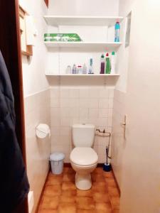 ein kleines Bad mit einem weißen WC und Regalen in der Unterkunft Maison de 4 chambres avec jardin amenage a Fontrabiouse a 8 km des pistes in Fontrabiouse