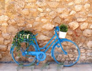 a blue bike parked against a stone wall with potted plants at Casa rural con barbacoa y amplia terraza. in Jorquera