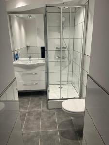 un bagno con doccia, WC e lavandino di 1-Raum Ferienwohnung Souterrain Niederorschel a Niederorschel