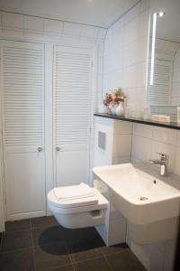 ein weißes Bad mit einem WC und einem Waschbecken in der Unterkunft Hotel Restaurant Het Witte Huis in Olterterp