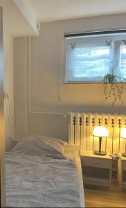 1 dormitorio con cama y ventana en 1-Raum Ferienwohnung Souterrain Niederorschel en Niederorschel