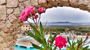 a window with a bunch of pink flowers at Anima Rooms & Pool in San Pasquale