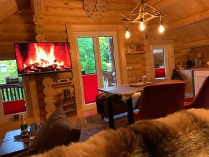 a living room with a fireplace in a log cabin at Hahnenkleer Hütte in Goslar