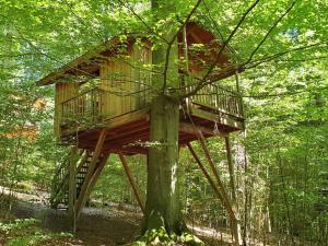 a tree house sitting on top of a tree at Baumhaushotel Solling in Uslar +66 photos