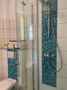 een badkamer met een glazen douche en een toilet bij Am Berggarten in Heidelberg