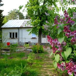 ein Haus mit Blumen davor in der Unterkunft Augustówka - letnisko na Wrzosowiskach 