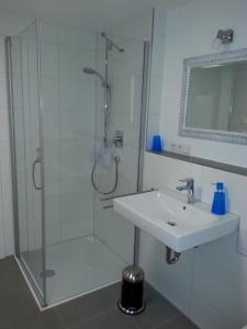 Koupelna v ubytování Teck-Apartment