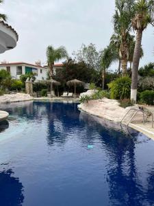Anarita的住宿－德米查納酒店，一座拥有蓝色海水和棕榈树的游泳池
