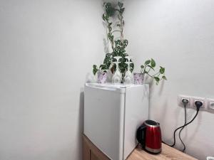 Foto sihtkohas Kolín asuva majutusasutuse Monstera II galeriist