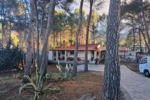 una casa en medio de un grupo de árboles en Chalet Montes de Llanorel en Valencia