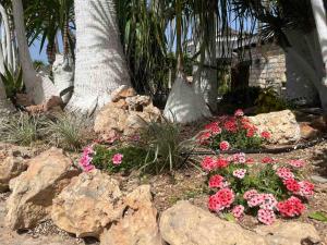 un jardin avec des fleurs roses, des rochers et un arbre dans l'établissement De Michanna, à Anarita