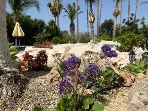 a garden with purple flowers and palm trees at De Michanna in Anarita