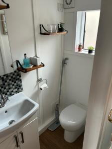 un piccolo bagno con servizi igienici e lavandino di Floras View a Inverness