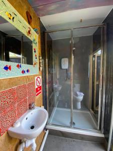 a bathroom with a shower and a sink and a toilet at Berty the campervan in Carbis Bay