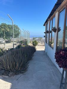 a sidewalk leading to a building with a cactus at Casa Rural El Pasil 2 in Arona