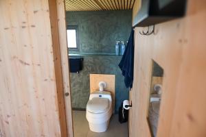 a bathroom with a toilet in a small room at Tiny House Pioneer 18 Zur Meerseite - Green Tiny Village Harlesiel in Carolinensiel