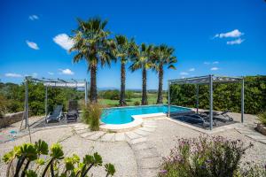 a swimming pool with palm trees in a yard at Buena Vista in Montuiri
