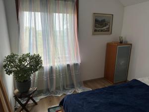 Un dormitorio con una cama y una ventana con una planta en Farmville, en Hengstdijk
