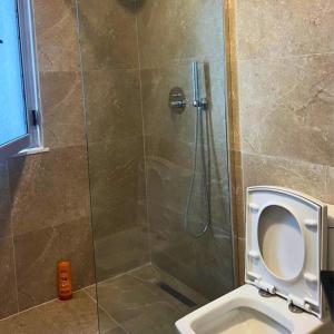 a shower stall with a toilet in a bathroom at Rana Hedhun Apartment in Margjonaj +2 photos