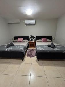 Toys suites hotel客房内的一张或多张床位