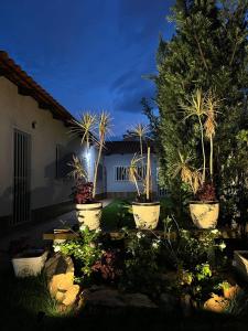 a group of potted plants in a yard at night at Casa da Vó Maria Suite Dupla 09 in Goiânia
