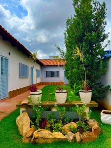 a garden with three potted plants in a yard at Casa da Vó Maria Suite Dupla 09 in Goiânia