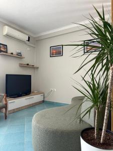 sala de estar con TV y maceta en Eri Apartments 2, en Shëngjin