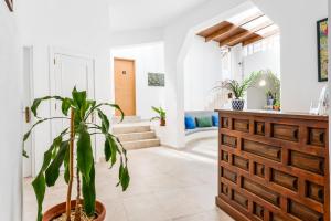 a living room with a plant and a wooden cabinet at sunset lodge in Las Manchas