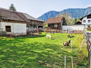 a group of animals laying in a field with buildings at Apartment be calm by Interhome in Mieming