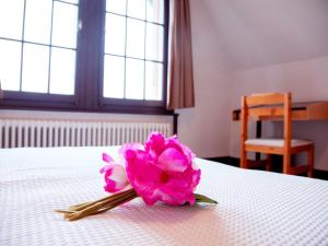 a pink flower sitting on top of a table at Apartment Plan Névé 5 by Interhome in Villars-sur-Ollon +27 photos