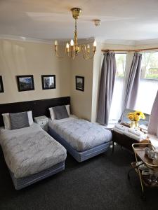 1 dormitorio con 2 camas y lámpara de araña en Rose Marie Guest House en Peterborough