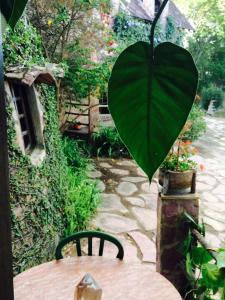 Um jardim em Castelar da Alvorada