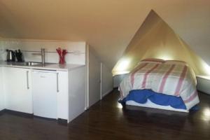 um quarto com uma cama com um tecto em forma de triângulo em Studio flat London em Londres