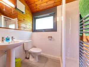 ein Badezimmer mit Toilette, Waschbecken und Dusche in der Unterkunft Chalet Chestnut Hot Tub Lodge by Interhome in Launceston