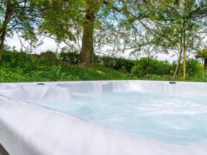 ローンセストンにあるChalet Bramley Hot Tub Lodge by Interhomeの木の背景にホットタブが備わります。