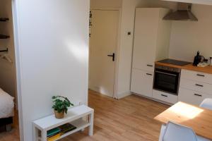 a small kitchen with a table and a stove top oven at Beach Lodge 24 - Noordwijk aan Zee - met eigen tuin in Noordwijk +39 photos