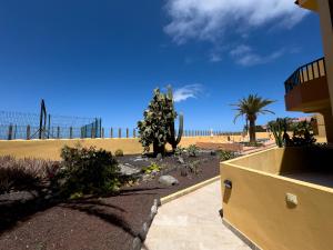 a view of the beach from a house with a cactus at CT Las Tres Palmeras in Valle Gran Rey