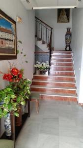 Hotel Restaurante Los Molinos, Écija – Updated 2022 Prices