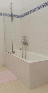 a bath tub with a shower in a bathroom at CHÂTEAU CAGNINACCI B&B in San-Martino-di-Lota