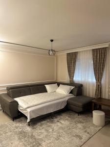 毛茛的住宿－Villa Zabljak，一间卧室配有一张床、一张沙发和窗户。