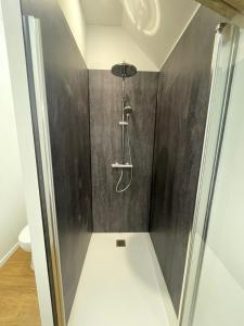 a shower with a shower head in a bathroom at La Marchanderie in Spay